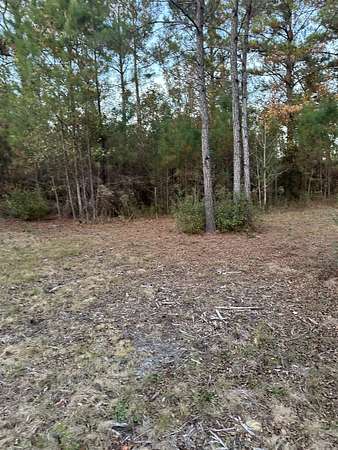 5.17 Acres of Residential Land for Sale in Monticello, Florida
