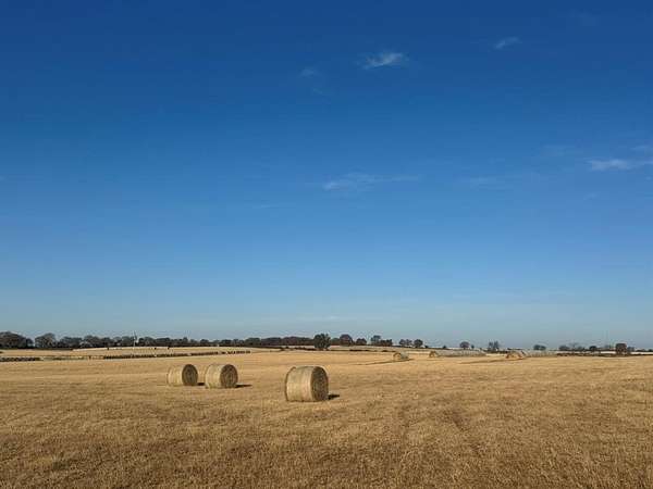 20 Acres of Agricultural Land for Sale in Tolar, Texas