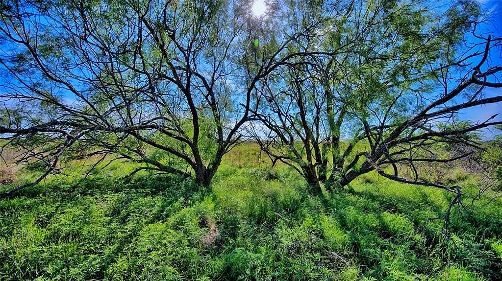 52.5 Acres of Land for Sale in Nocona, Texas