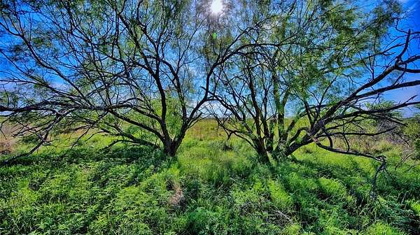 52.5 Acres of Land for Sale in Nocona, Texas