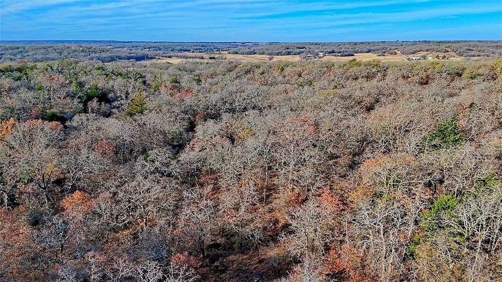 65 Acres of Land for Sale in Montague, Texas
