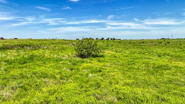 24.1 Acres of Agricultural & Residential Land for Sale in Godley, Texas