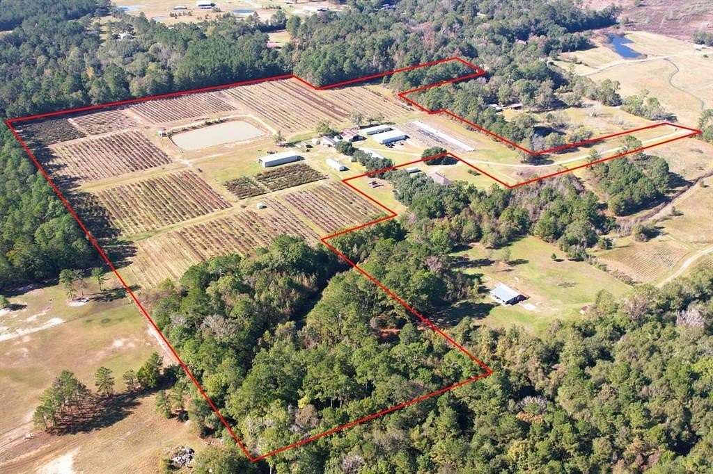 31.8 Acres of Agricultural Land for Sale in Silsbee, Texas