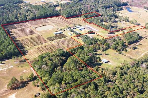 31.8 Acres of Agricultural Land for Sale in Silsbee, Texas