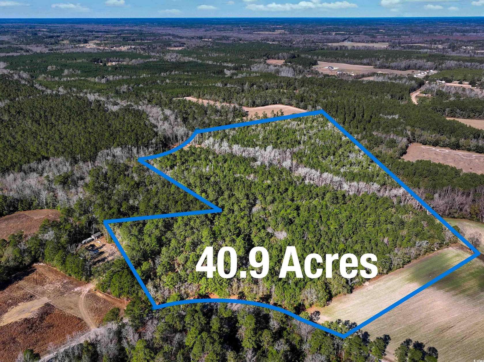 40.5 Acres of Land for Sale in Loris, South Carolina