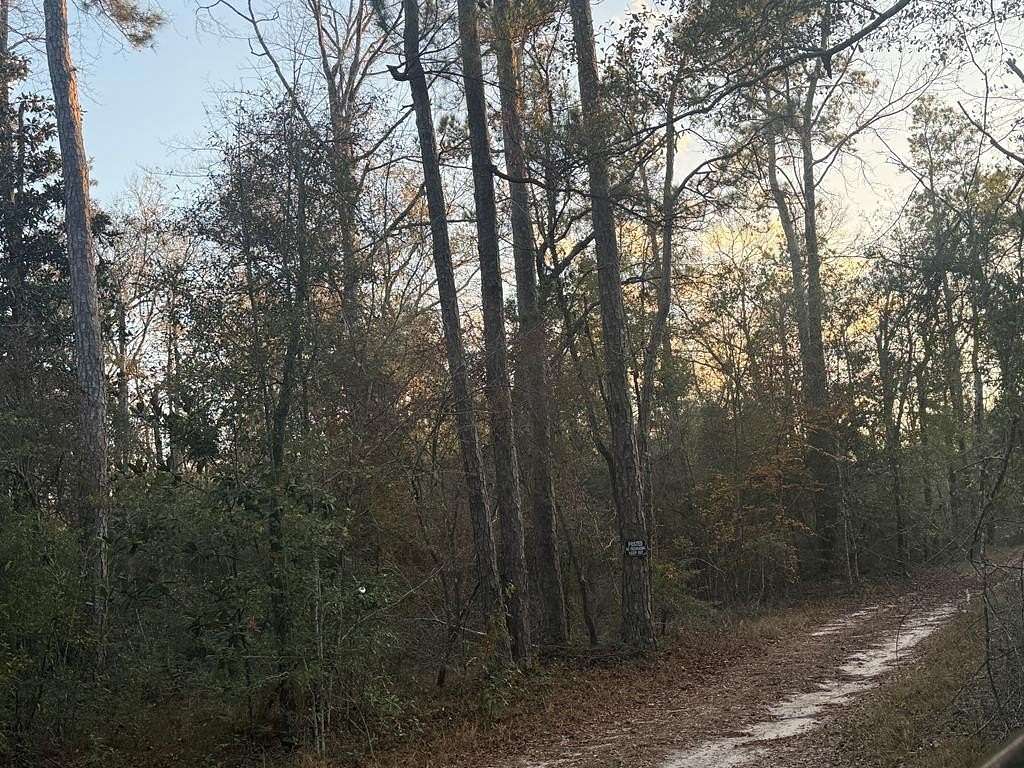 17 Acres of Recreational Land for Sale in Kirbyville, Texas