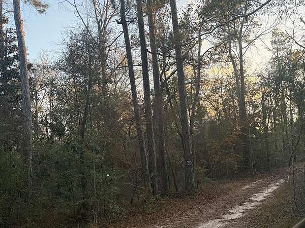 17 Acres of Recreational Land for Sale in Kirbyville, Texas