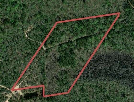 17 Acres of Recreational & Residential Land for Sale in Kirbyville, Texas