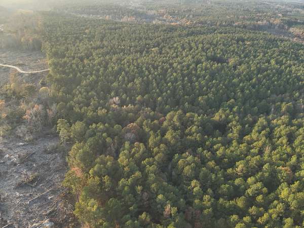 235 Acres of Recreational Land & Farm for Auction in Bluff City, Arkansas