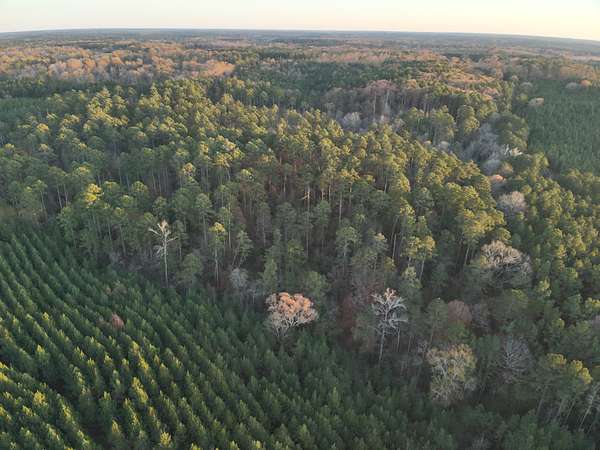 40 Acres of Recreational Land & Farm for Auction in Lawson, Arkansas
