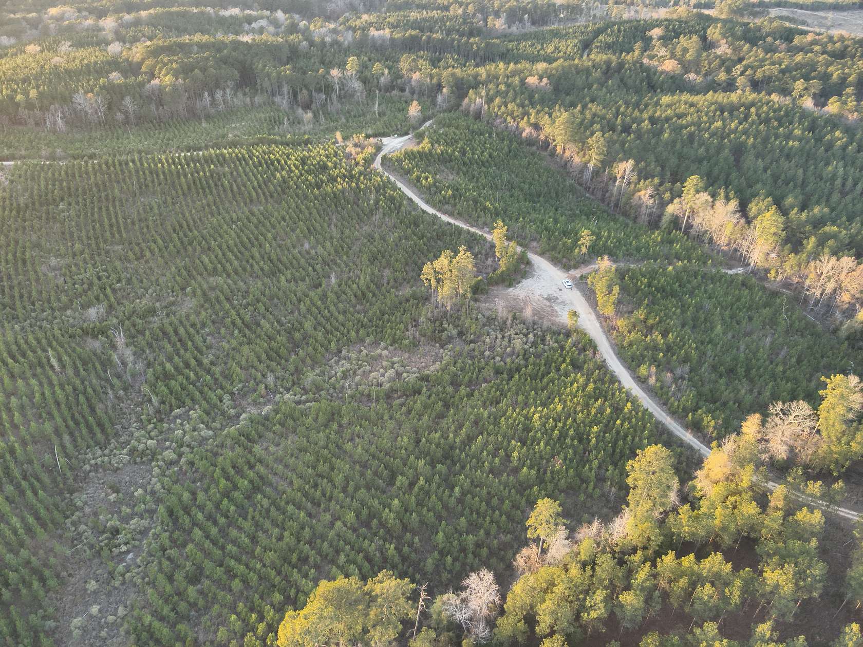 60 Acres of Recreational Land & Farm for Auction in Lawson, Arkansas