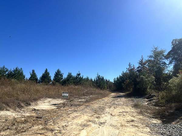 60 Acres of Recreational Land & Farm for Auction in Lawson, Arkansas
