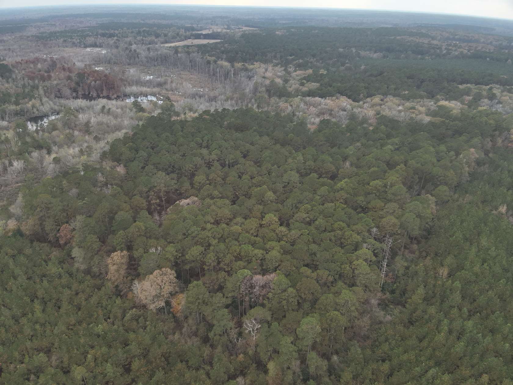 80 Acres of Land for Sale in El Dorado, Arkansas