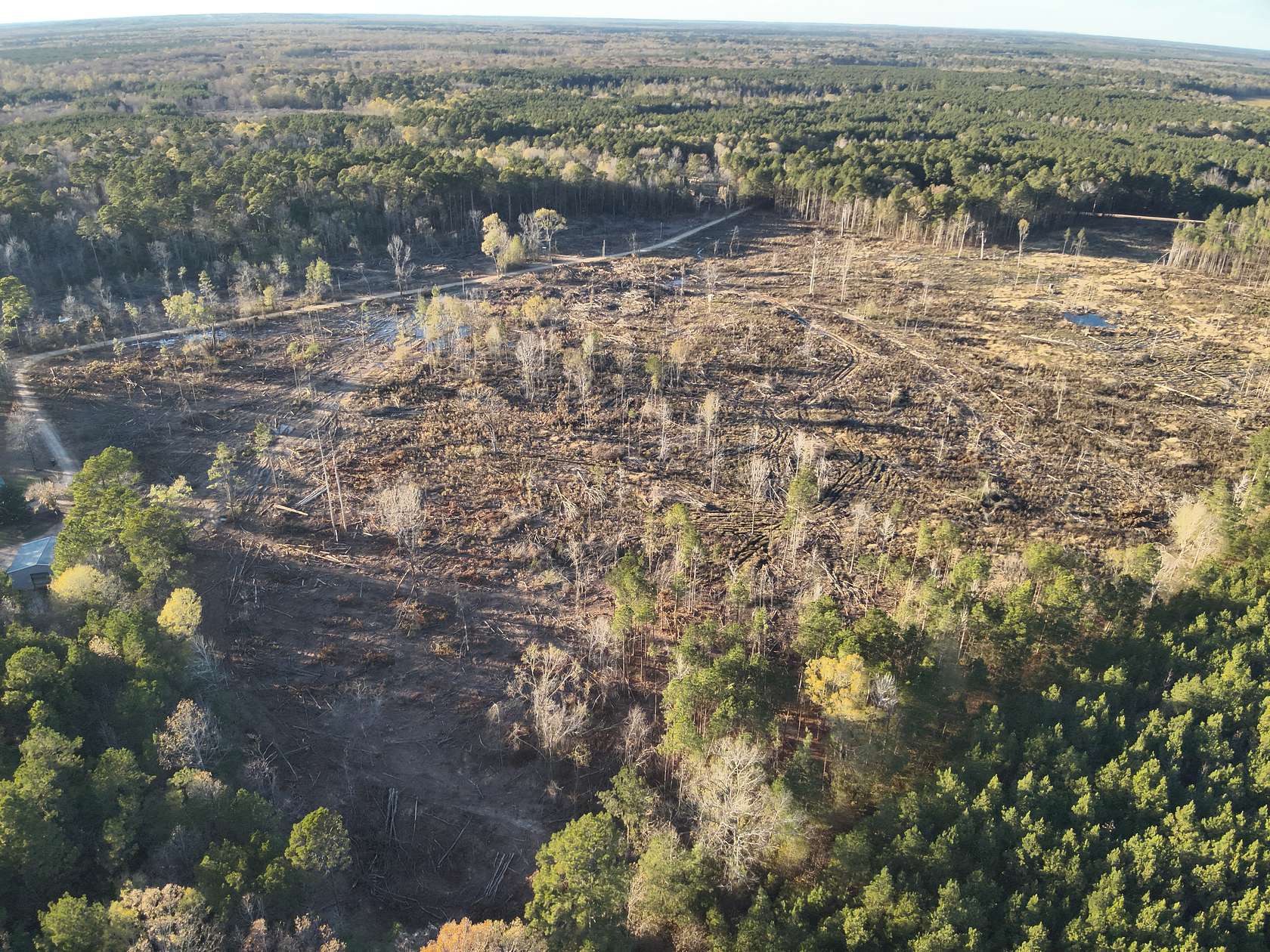 64 Acres of Land for Sale in Locust Bayou, Arkansas