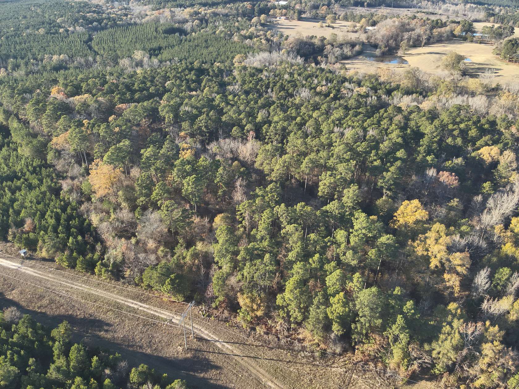 26 Acres of Recreational Land & Farm for Auction in McNeil, Arkansas