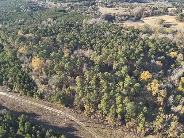 26 Acres of Recreational Land & Farm for Auction in McNeil, Arkansas