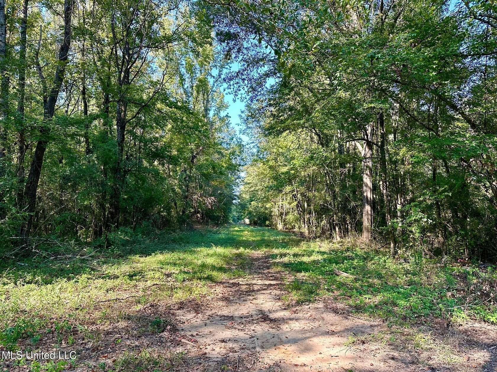 11 Acres of Recreational Land for Sale in Brookhaven, Mississippi