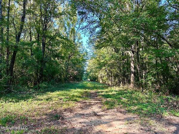 11 Acres of Recreational Land for Sale in Brookhaven, Mississippi