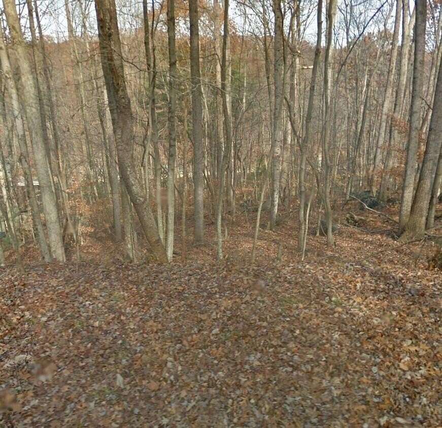 0.78 Acres of Land for Sale in Hardy, Virginia