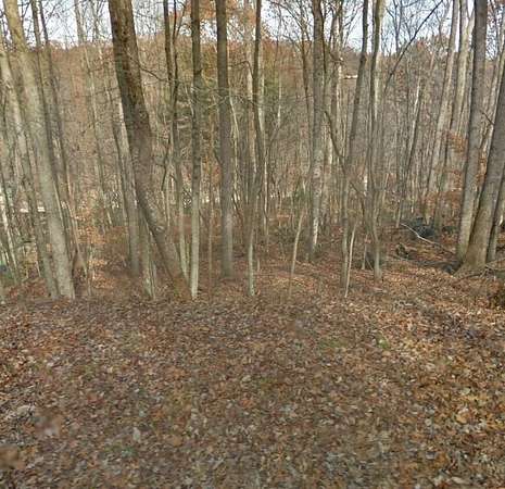 0.78 Acres of Land for Sale in Hardy, Virginia