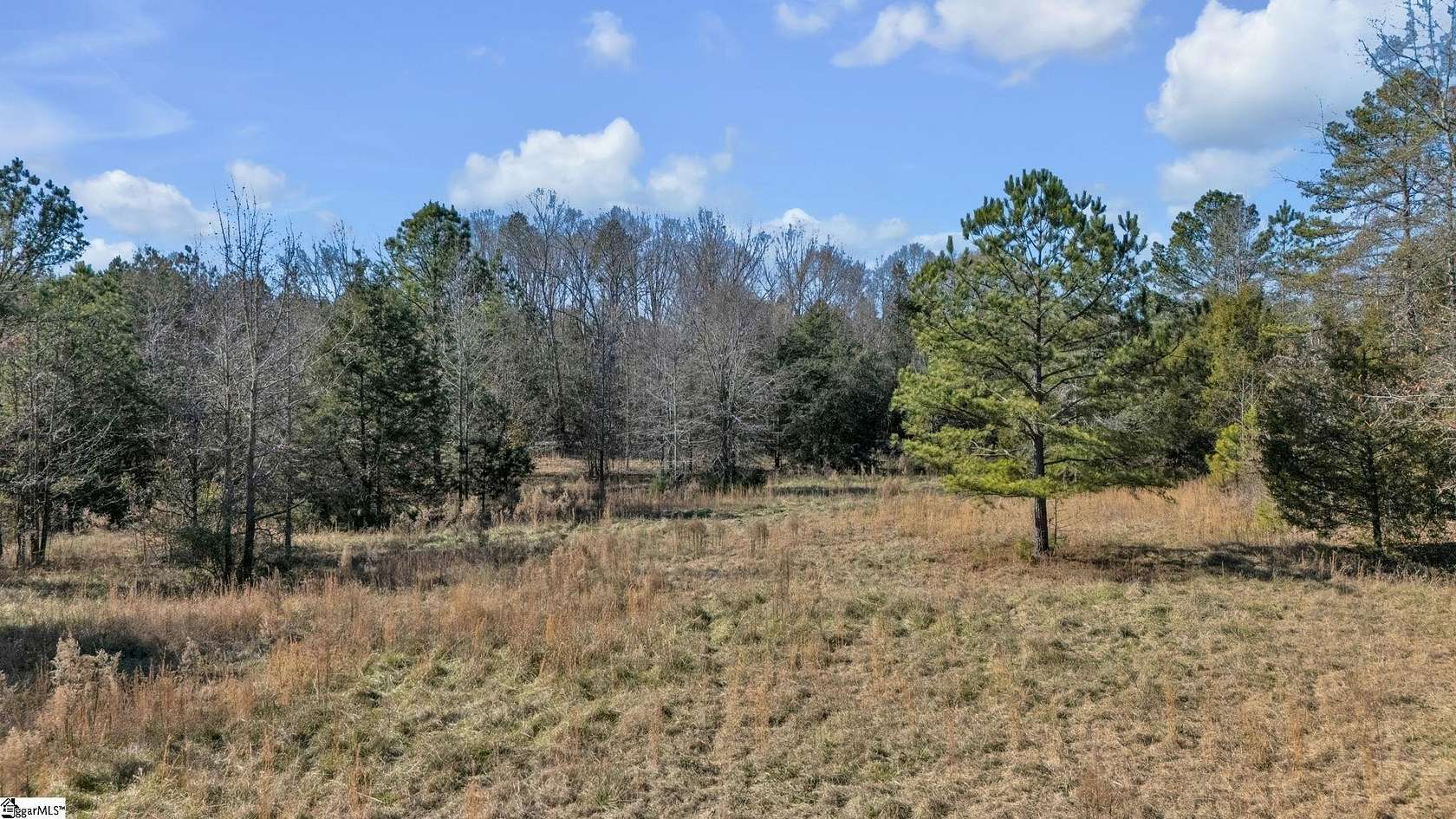 14 Acres of Recreational Land for Sale in Fountain Inn, South Carolina