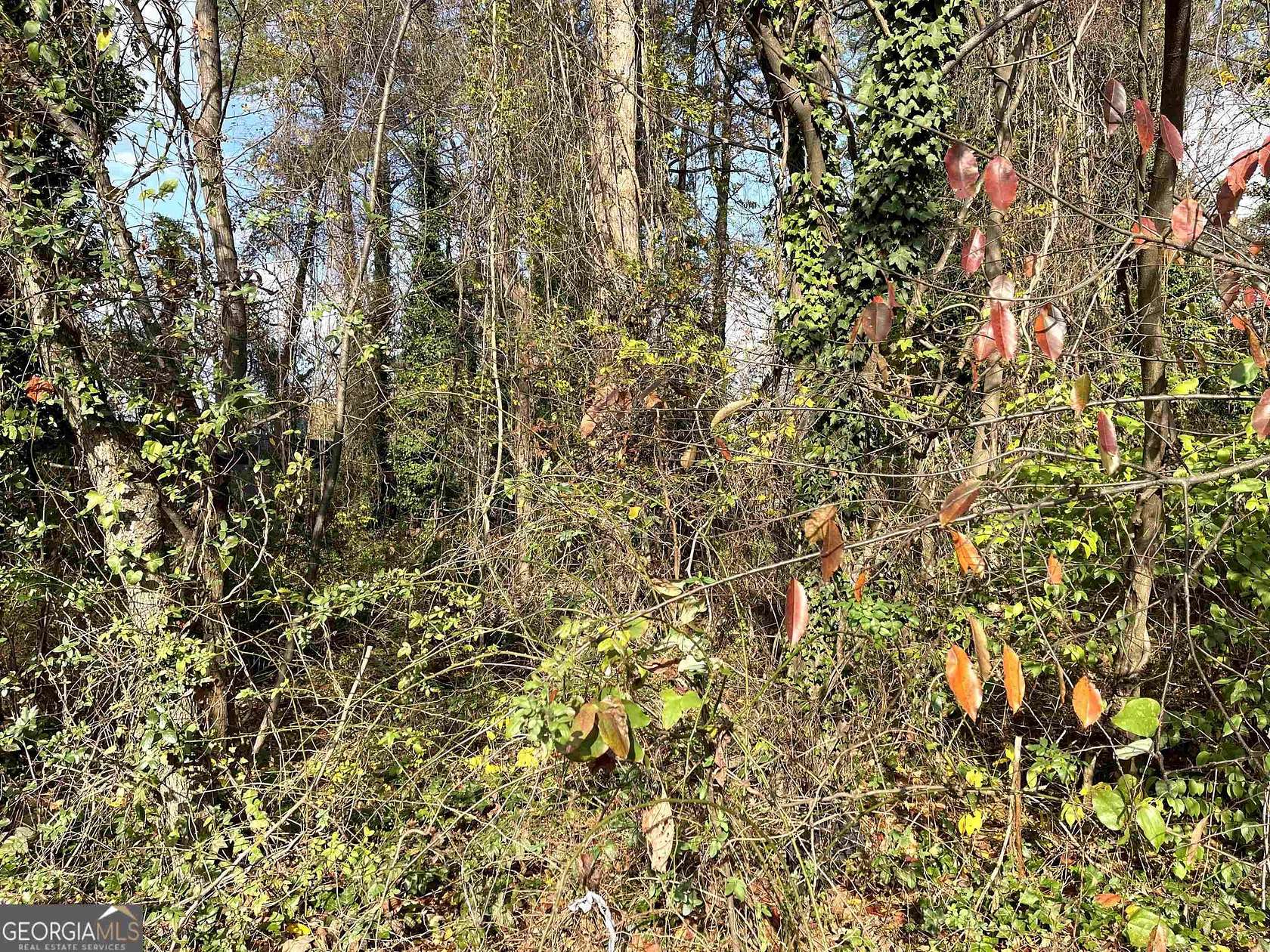 1 Acre of Commercial Land for Sale in Morrow, Georgia