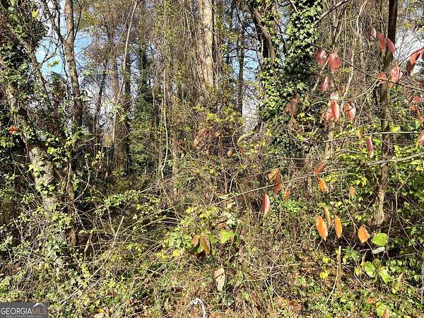 1 Acre of Commercial Land for Sale in Morrow, Georgia