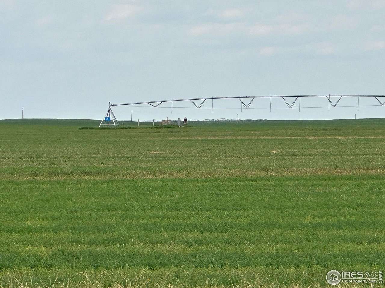 317 Acres of Agricultural Land for Sale in Cope, Colorado