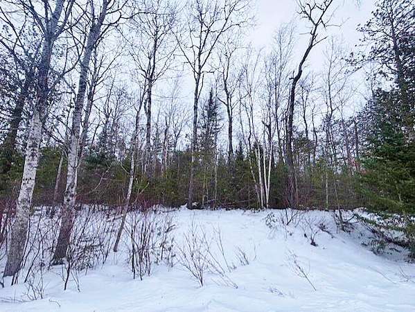 0.69 Acres of Residential Land for Sale in Presque Isle, Michigan