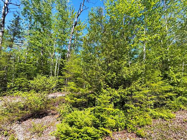 0.69 Acres of Residential Land for Sale in Presque Isle, Michigan