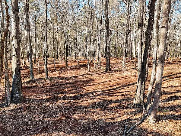5 Acres of Residential Land for Sale in Anderson, South Carolina