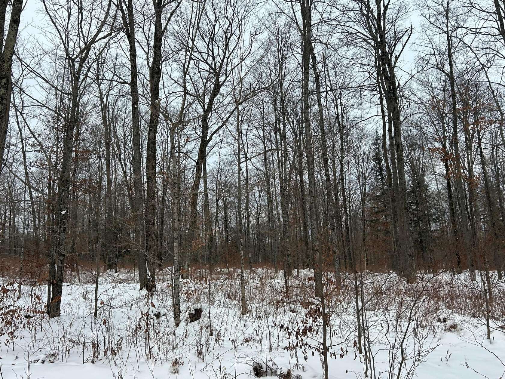 5.25 Acres of Recreational Land for Sale in Pelican Lake, Wisconsin