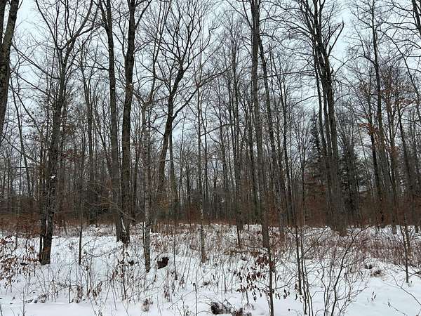 5.25 Acres of Recreational Land for Sale in Pelican Lake, Wisconsin