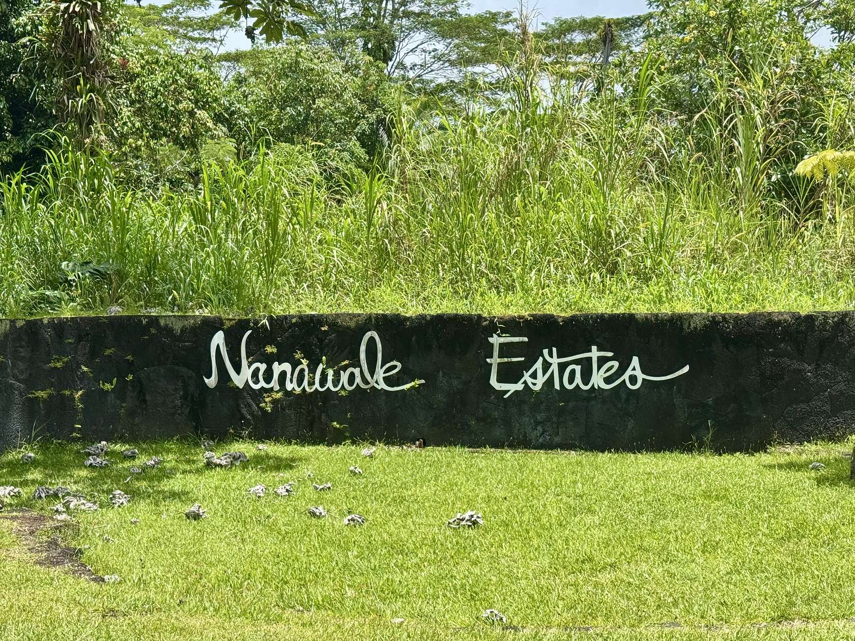 0.18 Acres of Land for Sale in Pahoa, Hawaii