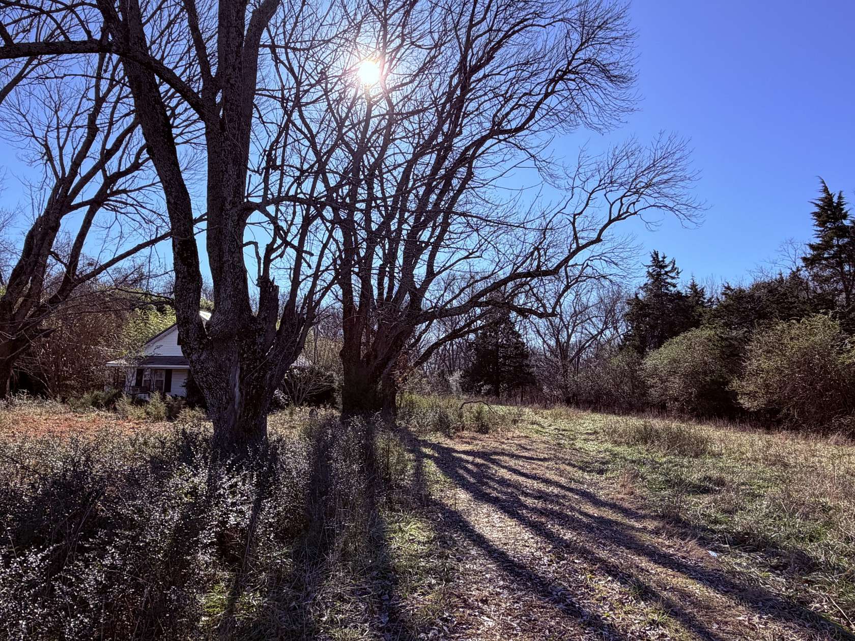 5 Acres of Land with Home for Sale in McKenzie, Tennessee