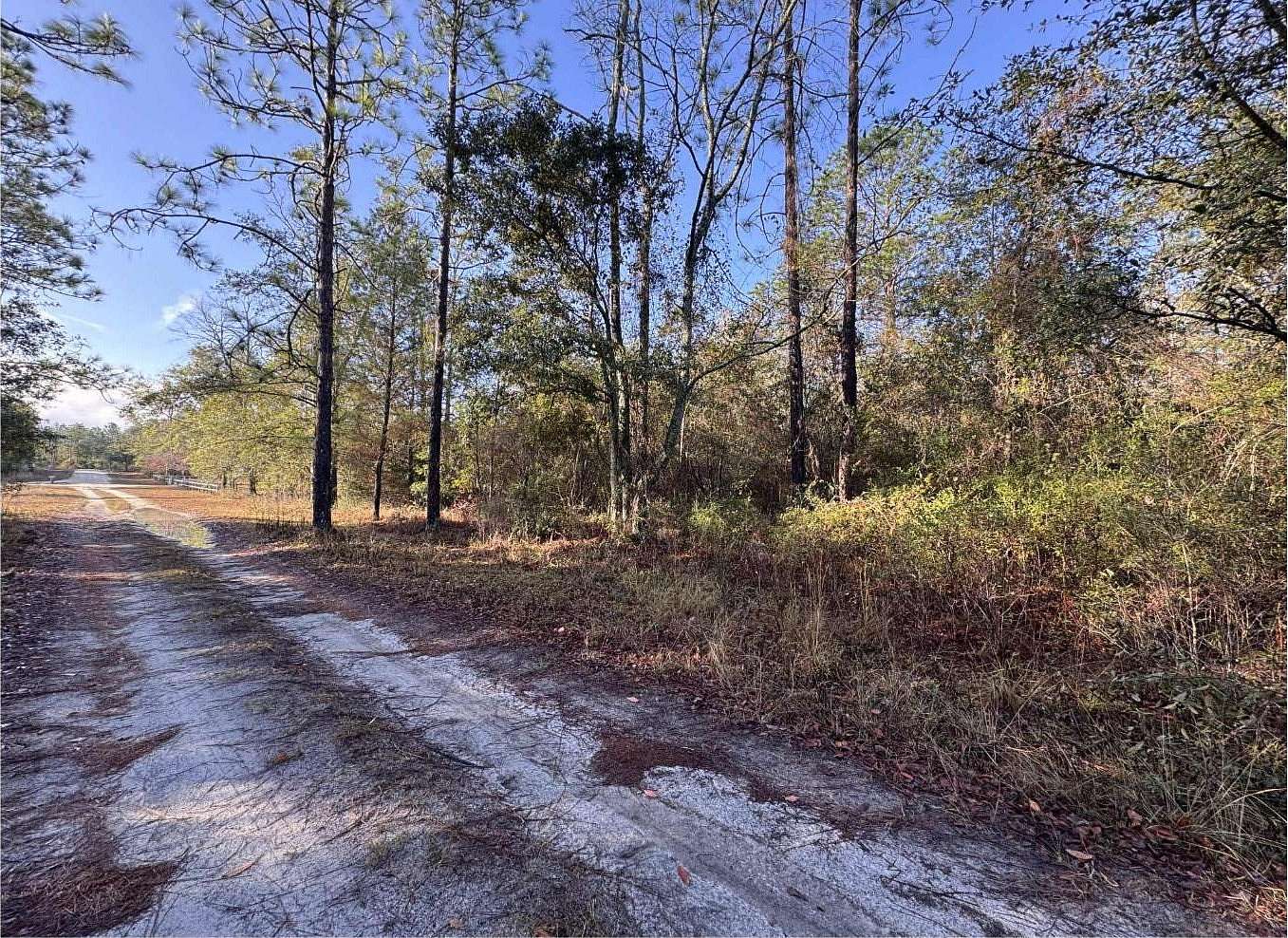 Residential Land for Sale in O'Brien, Florida