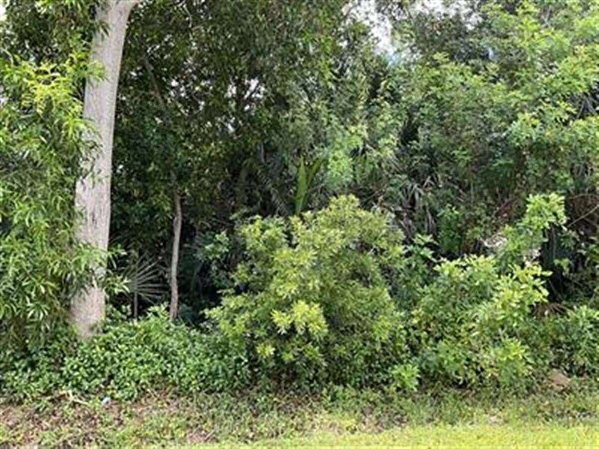 0.33 Acres of Residential Land for Sale in Port St. Lucie, Florida