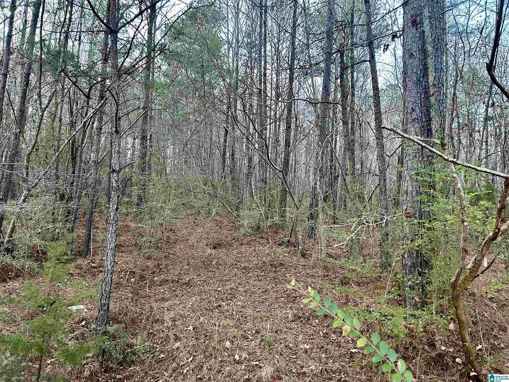 6 Acres of Residential Land for Sale in Odenville, Alabama