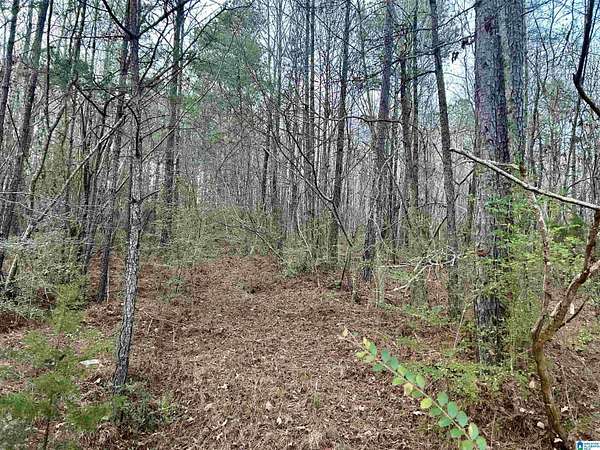 6 Acres of Residential Land for Sale in Odenville, Alabama