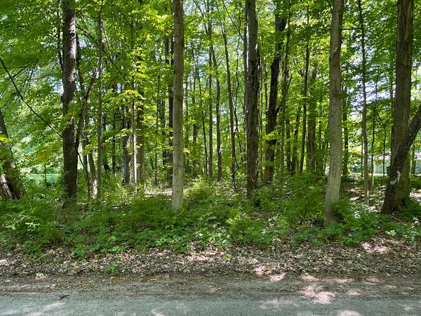 0.32 Acres of Residential Land for Sale in New Carlisle, Indiana