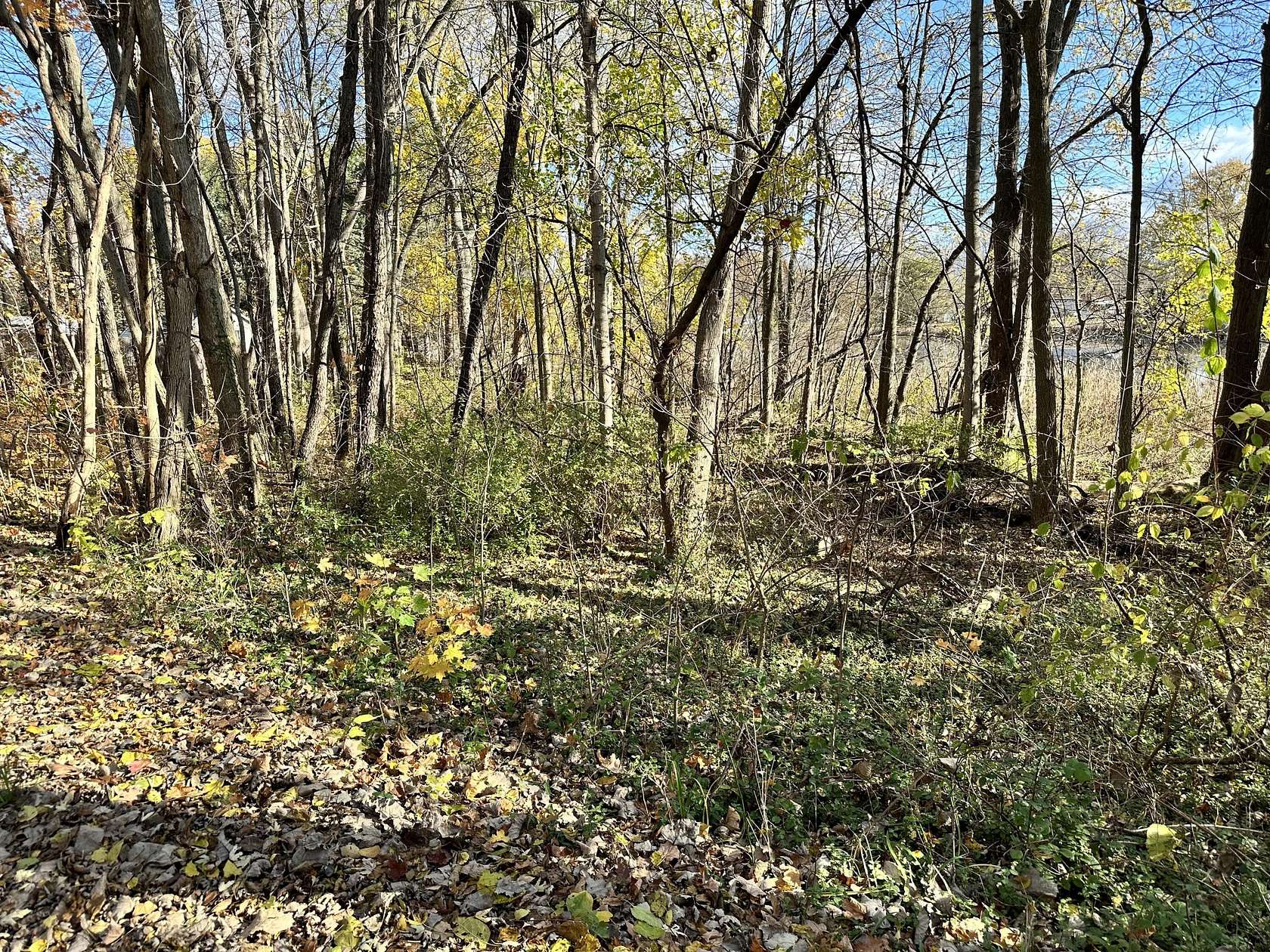 0.49 Acres of Land for Sale in New Carlisle, Indiana
