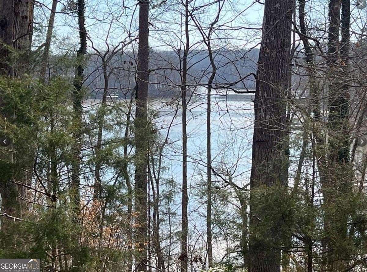 0.23 Acres of Residential Land for Sale in Lavonia, Georgia