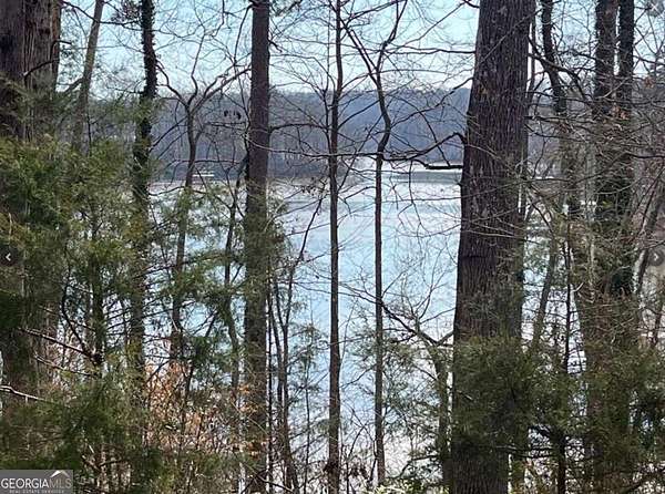 0.23 Acres of Residential Land for Sale in Lavonia, Georgia