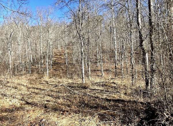 45.5 Acres of Recreational Land for Sale in Wayne, West Virginia