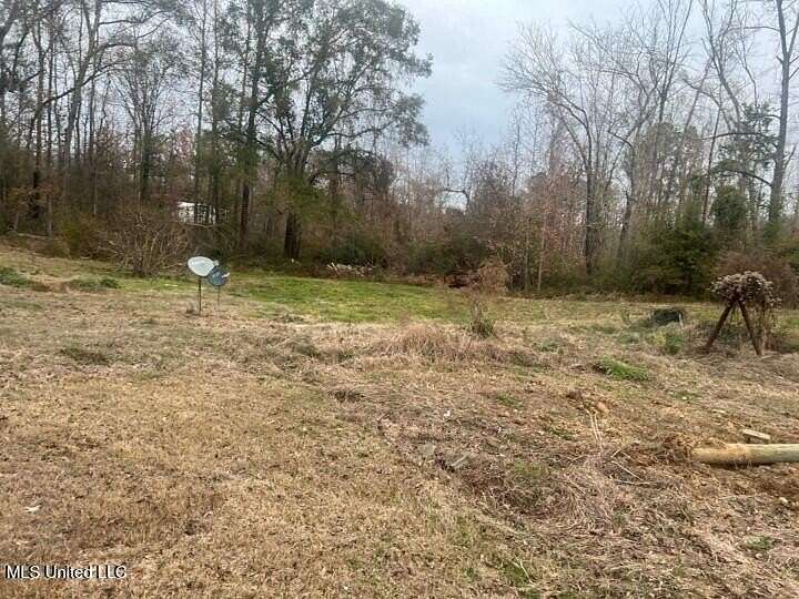 1 Acre of Land for Sale in Fayette, Mississippi