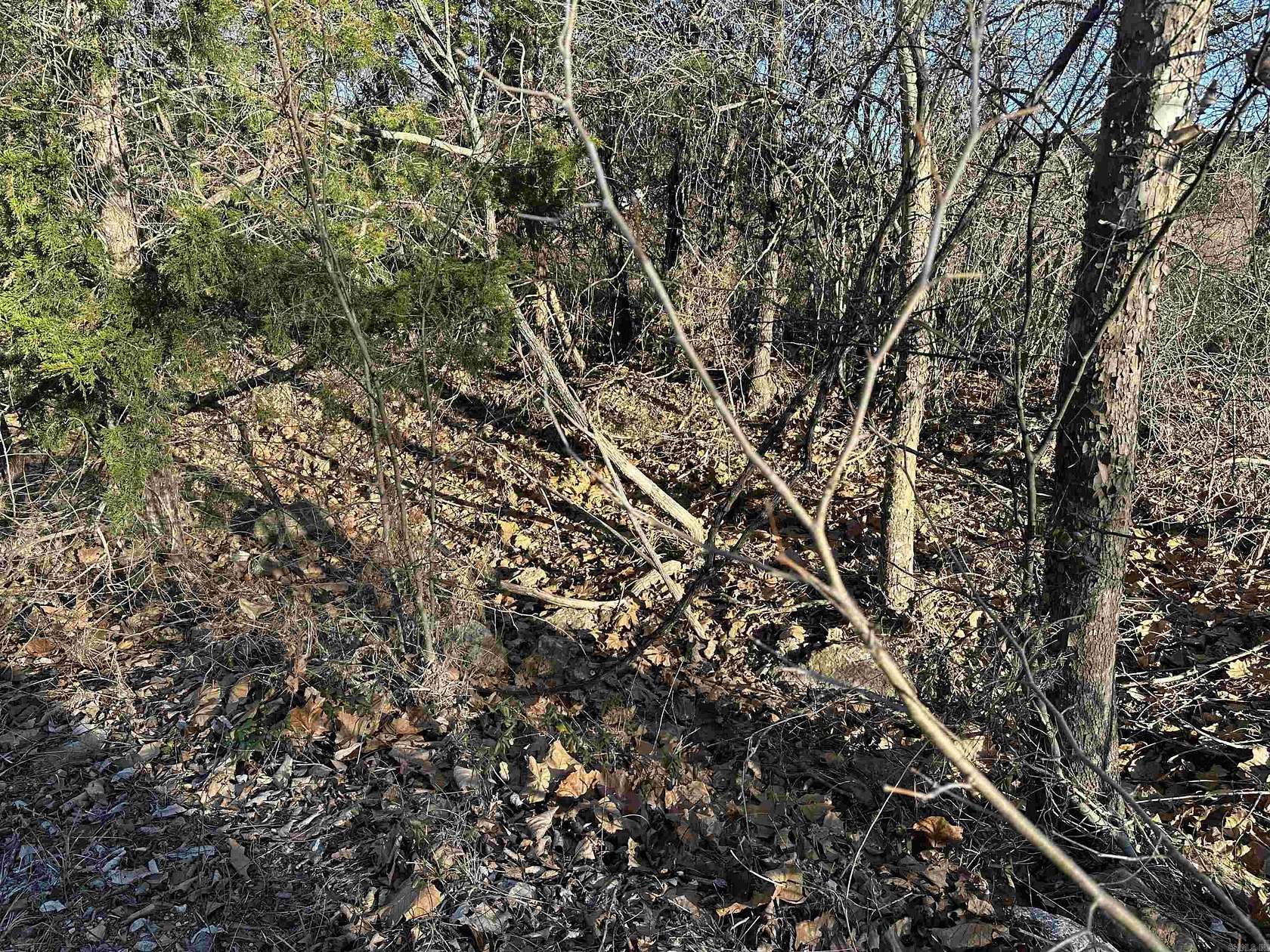 36 Acres of Recreational Land for Sale in Mountain Home, Arkansas