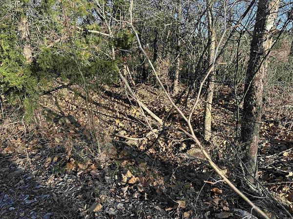 36 Acres of Recreational & Residential Land for Sale in Mountain Home, Arkansas