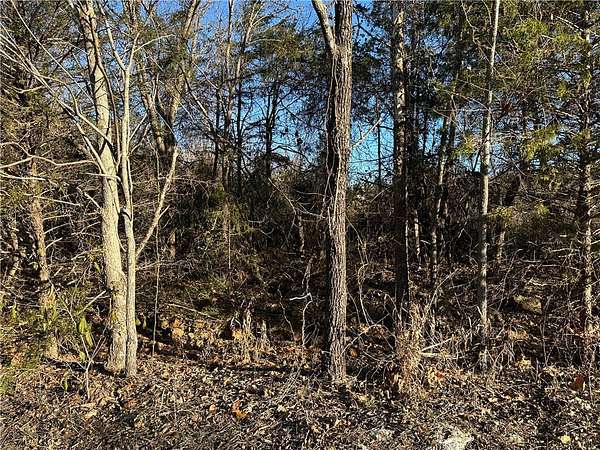 36 Acres of Recreational & Residential Land for Sale in Mountain Home, Arkansas