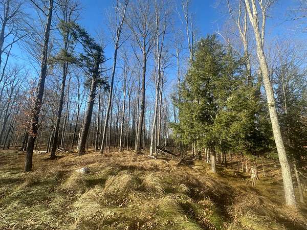 5 Acres of Land for Sale in Florence, Wisconsin