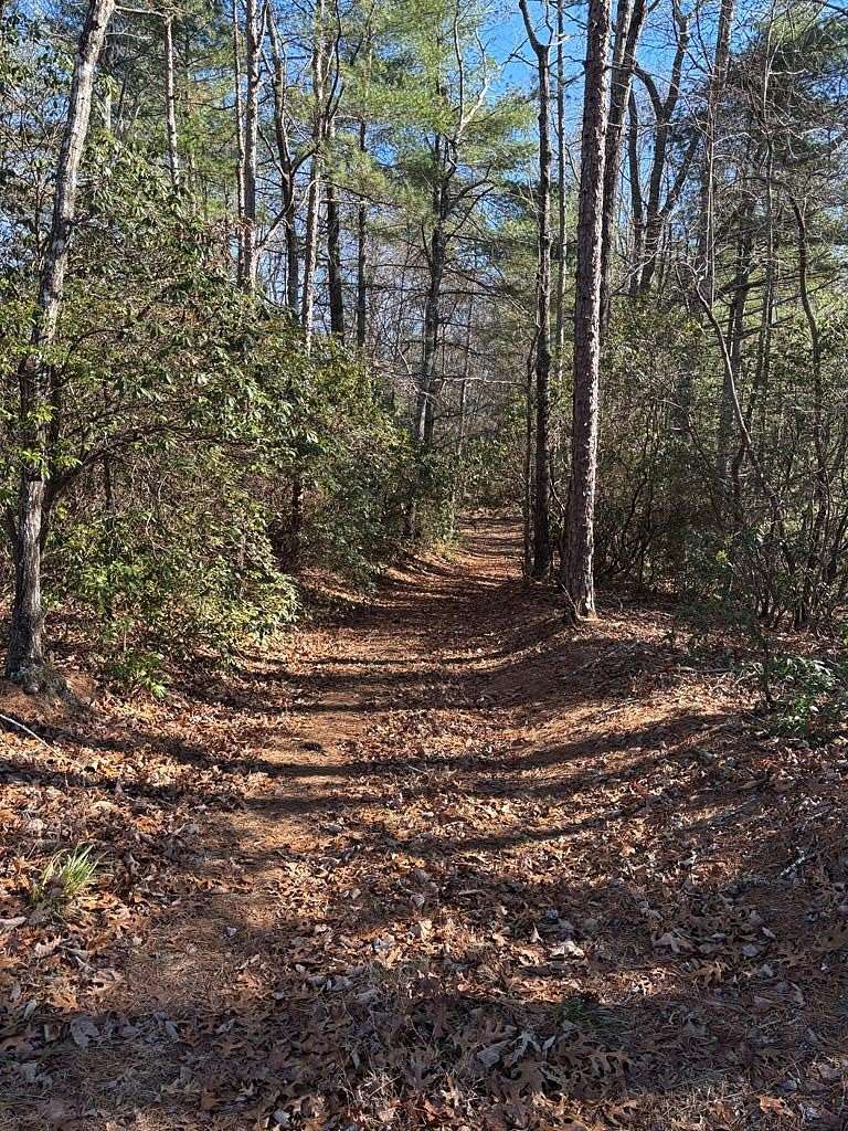 1.1 Acres of Residential Land for Sale in Murphy, North Carolina